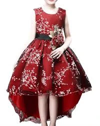 Dress325
